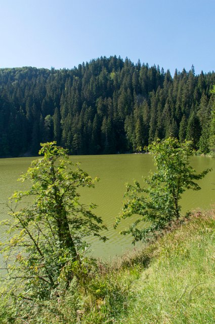 0439Lac vert.jpg - SONY DSC